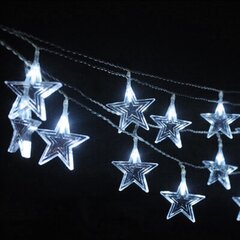 LED kalėdinis kalėdinis ledas, žvaigždės, ilgis 2*1,5 m, 144 LED, E 19-359 kaina ir informacija | Girliandos | pigu.lt