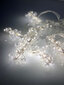 LED kalėdinės užuolaidos - kristalai, varinė viela, ilgis - 2x1,5 m, 150LED, 10 linijų, E 665WW kaina ir informacija | Girliandos | pigu.lt