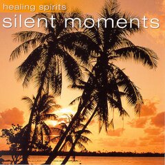 CD - Healing Spirits - Silent Moments цена и информация | Виниловые пластинки, CD, DVD | pigu.lt