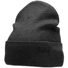 Kepurė 4F M H4Z22-CAM004 23M, pilka kaina ir informacija | Vyriški šalikai, kepurės, pirštinės | pigu.lt