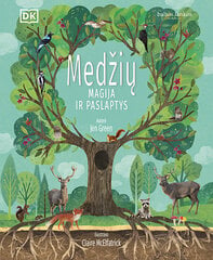 Medžių magija ir paslaptys цена и информация | Развивающие книги | pigu.lt