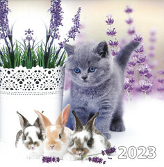 Kalendārs 2023. Kaķis ar zaķiem kaina ir informacija | Kalendoriai, darbo knygos | pigu.lt