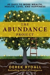 Abundance Project: 40 Days to More Wealth, Health, Love, and Happiness цена и информация | Самоучители | pigu.lt