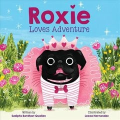 Roxie Loves Adventure kaina ir informacija | Knygos paaugliams ir jaunimui | pigu.lt