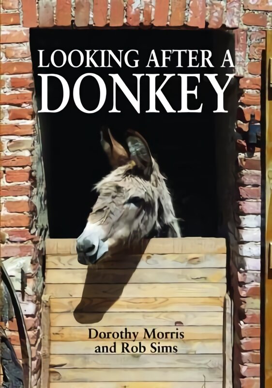 Looking After a Donkey kaina ir informacija | Knygos apie sveiką gyvenseną ir mitybą | pigu.lt