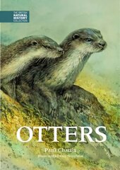 Otters цена и информация | Книги о питании и здоровом образе жизни | pigu.lt