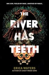 River Has Teeth цена и информация | Книги для подростков и молодежи | pigu.lt