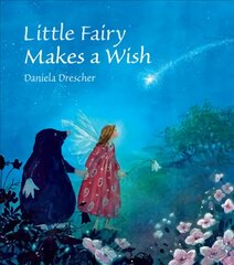 Little Fairy Makes a Wish kaina ir informacija | Knygos mažiesiems | pigu.lt