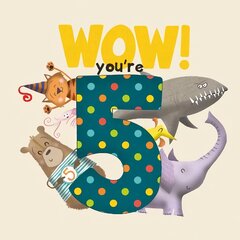 WOW! You're Five birthday book цена и информация | Книги для самых маленьких | pigu.lt