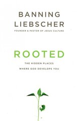 Rooted: The Hidden Places Where God Develops You цена и информация | Духовная литература | pigu.lt