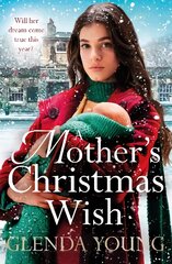 Mother's Christmas Wish: A heartwarming festive saga of family, love and sacrifice цена и информация | Фантастика, фэнтези | pigu.lt