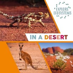 Explore Ecosystems: In a Desert Illustrated edition цена и информация | Книги для подростков и молодежи | pigu.lt