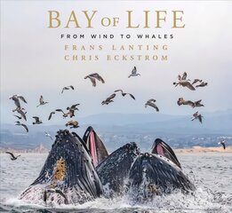 Bay of Life: From Wind to Whales kaina ir informacija | Knygos apie meną | pigu.lt