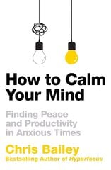 How to Calm Your Mind: Finding Peace and Productivity in Anxious Times kaina ir informacija | Socialinių mokslų knygos | pigu.lt