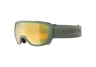Slidinėjimo akiniai Alpina Scarabeo, žali kaina ir informacija | Alpina Kalnų slidinėjimas | pigu.lt