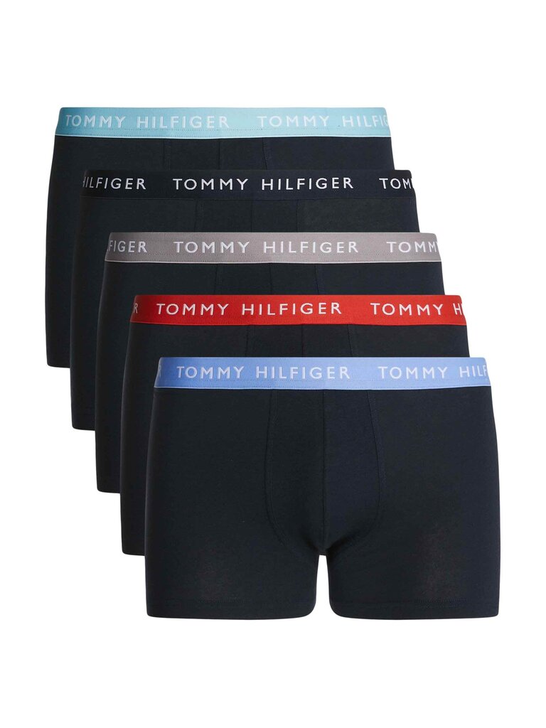 Trumpikės vyrams Tommy Hilfiger, 5 vnt kaina ir informacija | Trumpikės | pigu.lt