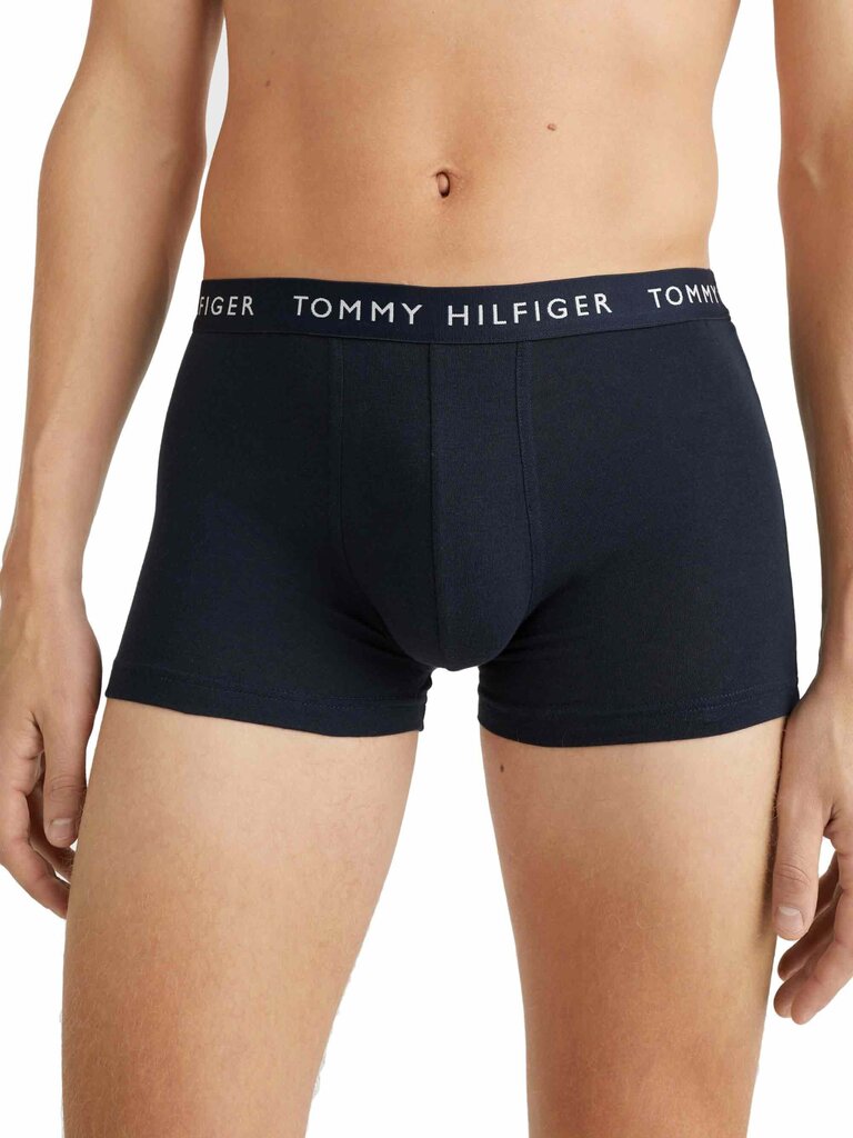 Trumpikės vyrams Tommy Hilfiger, 5 vnt kaina ir informacija | Trumpikės | pigu.lt