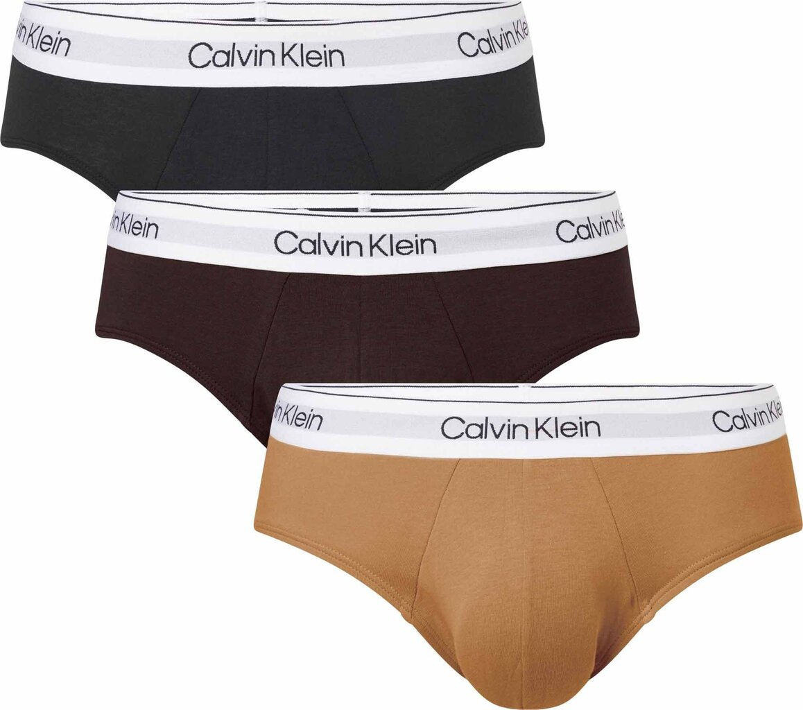 Trumpikės vyrams Calvin Klein, 3 vnt kaina ir informacija | Trumpikės | pigu.lt