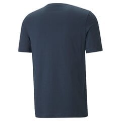 Marškinėliai vyrams Puma 52629 kaina ir informacija | Vyriški marškinėliai | pigu.lt