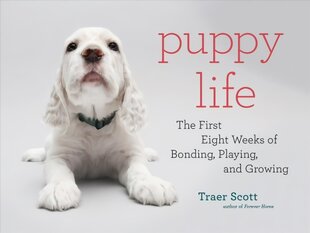 Puppy life: the first eight weeks of bonding, playing, and growing kaina ir informacija | Fotografijos knygos | pigu.lt