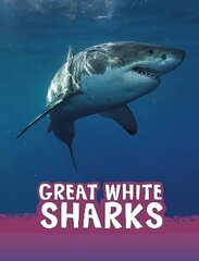 Great White Sharks цена и информация | Книги для подростков и молодежи | pigu.lt