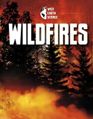 Wildfires цена и информация | Книги для подростков и молодежи | pigu.lt