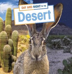 Day and Night in the Desert цена и информация | Книги для подростков  | pigu.lt