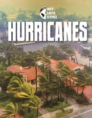 Hurricanes цена и информация | Книги для подростков и молодежи | pigu.lt