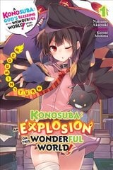 Konosuba: An Explosion on This Wonderful World!, Vol. 1 (light novel) цена и информация | Книги для подростков  | pigu.lt