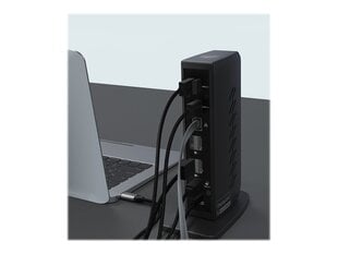 Icy Box IB-DK2252AC цена и информация | Адаптеры, USB-разветвители | pigu.lt