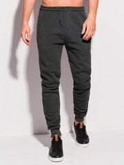 спортивные штаны P1282 - темно-серые цена и информация | Мужские брюки FINIS | pigu.lt