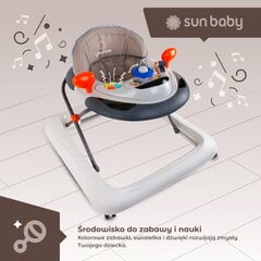 Детские ходунки интерактивный серый Sun Baby цена и информация | Ходунки | pigu.lt