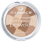 Kompaktinė pudra Essence Mosaic 10 g, 01 Sunkissed Beauty kaina ir informacija | Makiažo pagrindai, pudros | pigu.lt