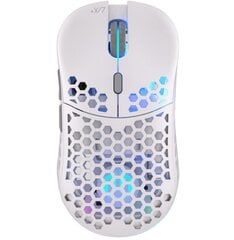 Endorfy LIX Plus Onyx White Wireless kaina ir informacija | Pelės | pigu.lt