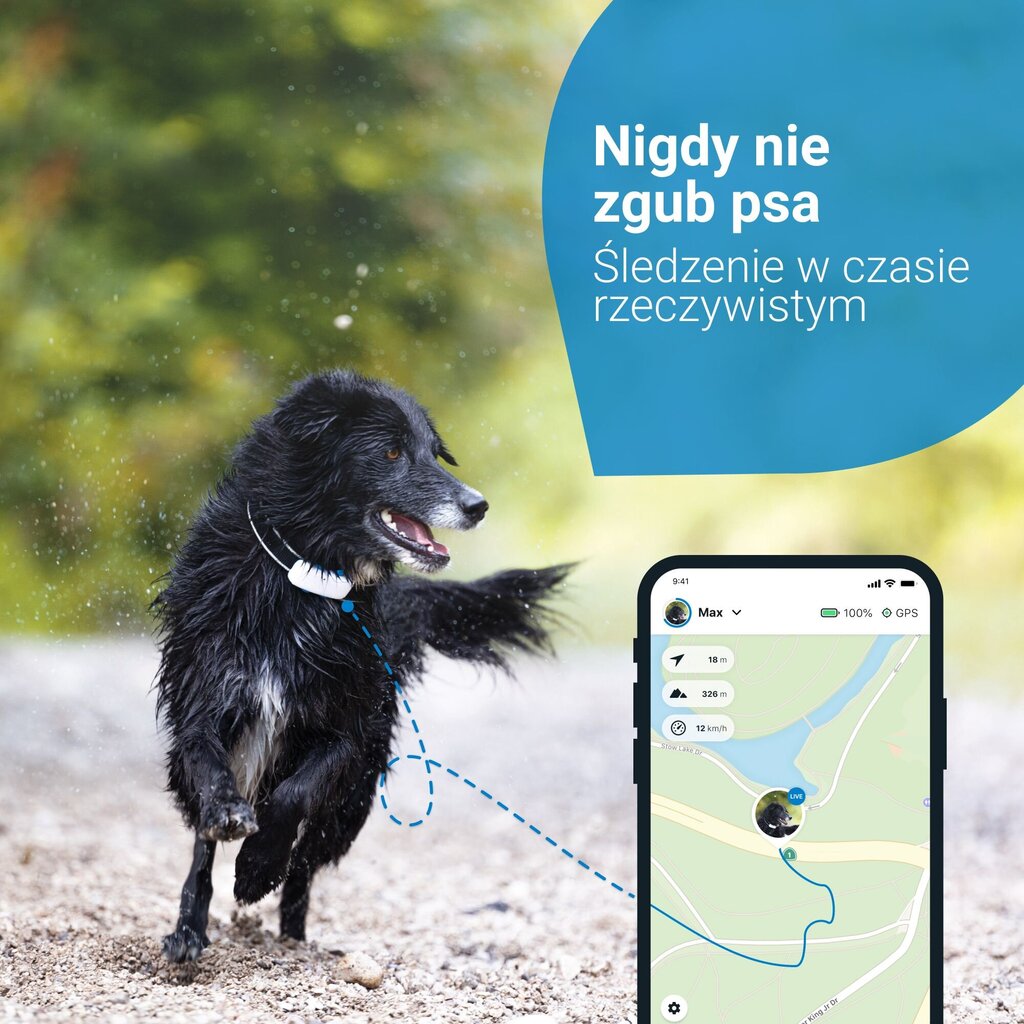 Tractive Tractive GPS DOG 4 šunų lokatorius su aktyvumo sekimu – baltas цена и информация | Drabužiai šunims | pigu.lt