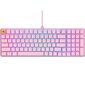 Glorious PC Gaming Race GMMK 2 Full-Size (96%), Fox Switches, Pink, US kaina ir informacija | Klaviatūros | pigu.lt