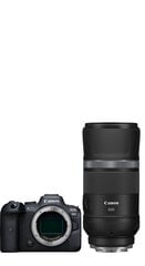 Canon EOS R6 + RF 600mm f/11 IS STM kaina ir informacija | Skaitmeniniai fotoaparatai | pigu.lt