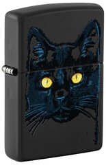 Žiebtuvėlis Zippo 48491 Black Cat Design kaina ir informacija | Žiebtuvėliai ir priedai | pigu.lt