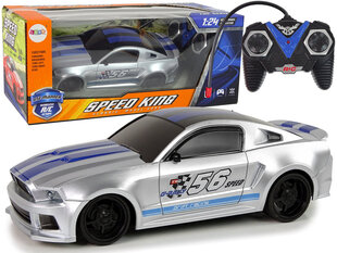 Lean toys Sportinis greitas automobilis R/C sidabrinis 1:24 kaina ir informacija | Žaislai berniukams | pigu.lt