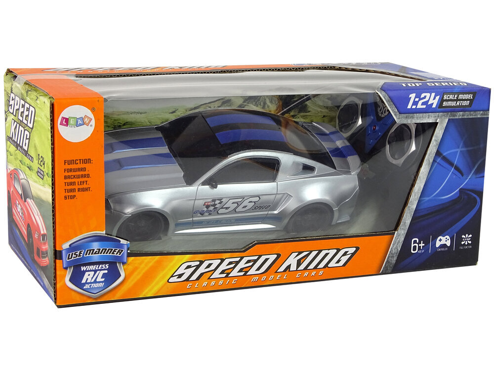 Lean toys Sportinis greitas automobilis R/C sidabrinis 1:24 kaina ir informacija | Žaislai berniukams | pigu.lt