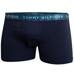 Мужские боксеры Tommy Hilfiger, 3 шт. цена и информация | Мужские трусы | pigu.lt