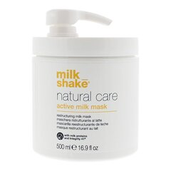 Plaukų kaukė Milk Shake Active Milk, 500 ml kaina ir informacija | Priemonės plaukų stiprinimui | pigu.lt