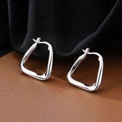 Stilingi sidabriniai auskarai moterims E311 kaina ir informacija | Auskarai | pigu.lt