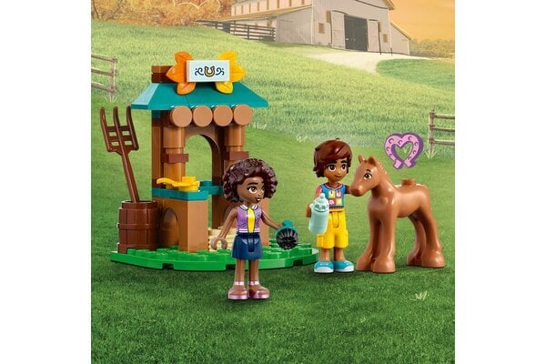 41730 LEGO® Friends Otum namai kaina ir informacija | Konstruktoriai ir kaladėlės | pigu.lt