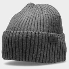 Зимняя шапка 4F M H4Z22-CAM003 24M, серая цена и информация | Мужские шарфы, шапки, перчатки | pigu.lt