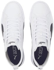 Laisvalaikio batai vyrams Puma Ever Mid Sl White 387612 02 kaina ir informacija | Kedai vyrams | pigu.lt