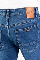 Мужские джинсы Evin VG1912-33/36 цена и информация | Мужские джинсы | pigu.lt
