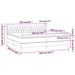 vidaXL Lova su spyruoklėmis ir čiužiniu, mėlyna, 200x200 cm, audinys kaina ir informacija | Lovos | pigu.lt