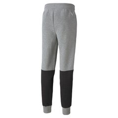 Мужские спортивные штаны Puma BMW MMS Sweatpants CC Medium Grey 53118803, серые цена и информация | Мужская спортивная одежда | pigu.lt