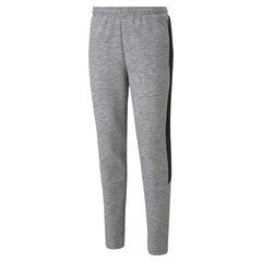 Мужские спортивные штаны Puma Evostripe Pants Medium Grey Heat 58942603, серые цена и информация | Мужская спортивная одежда | pigu.lt